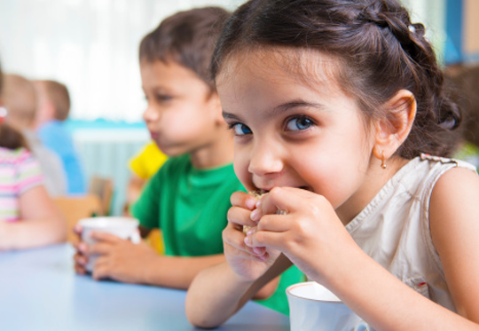 免费ddos平台攻击